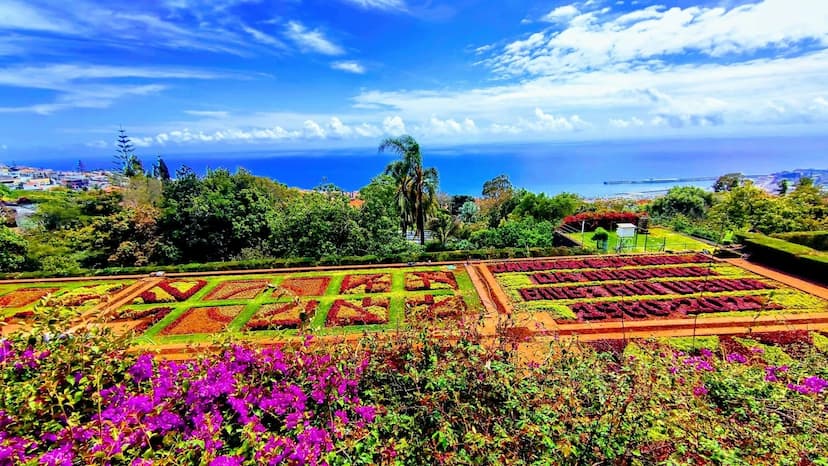 Botanical Garden + Old Town