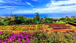 Madeira Botanical Garden tuk tuk tour Funchal