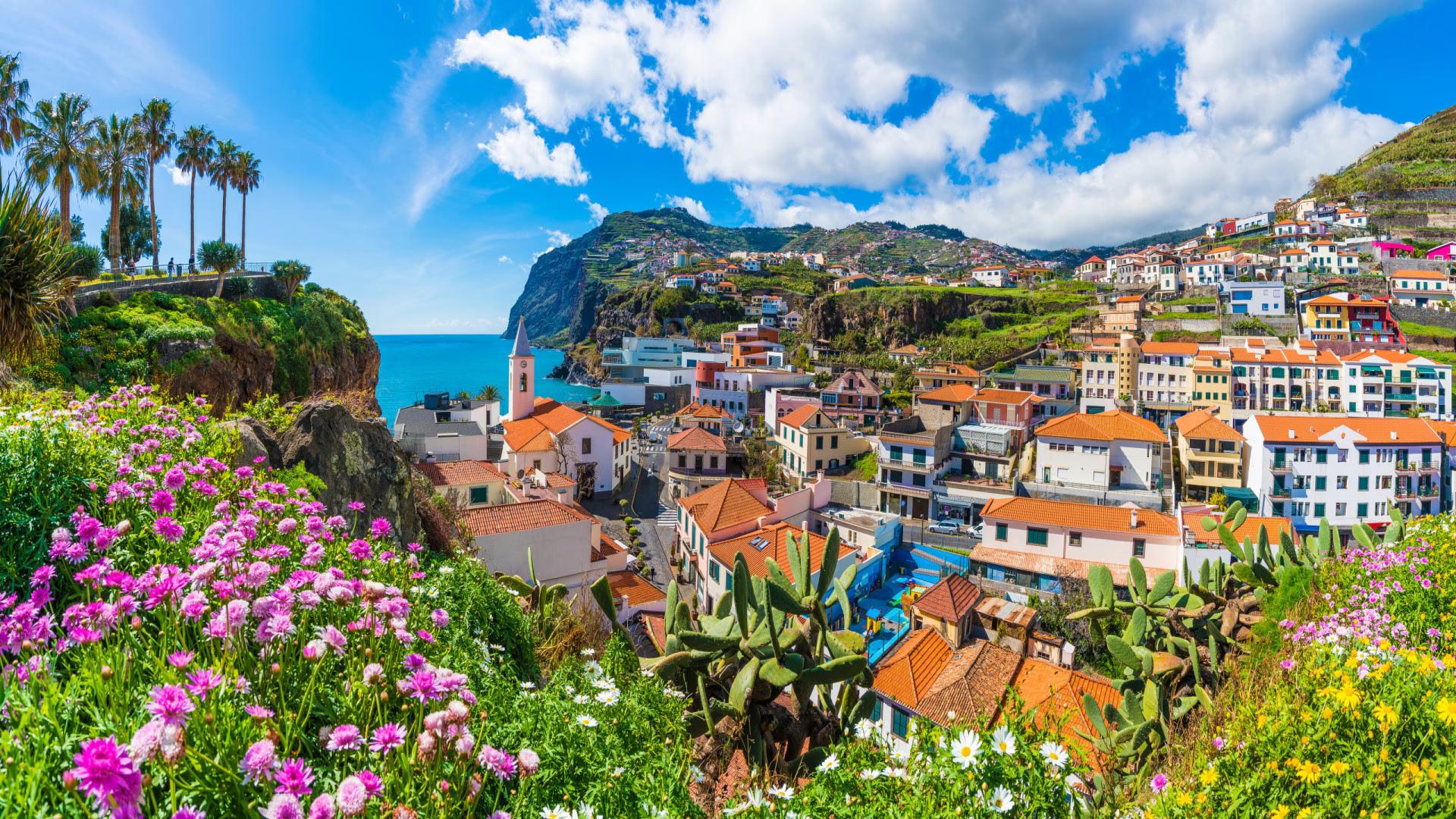 TukTuking Madeira tuk tuk tours Funchal - book your adventure today