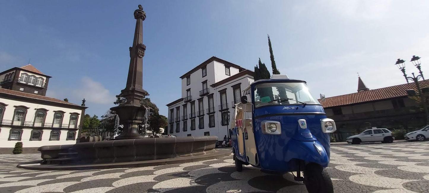 Tropical flowers at Madeira Botanical Garden