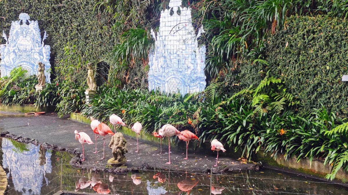 Flamingos beside a pond and blue-and-white azulejo panels at Monte Palace Tropical Garden in Madeira