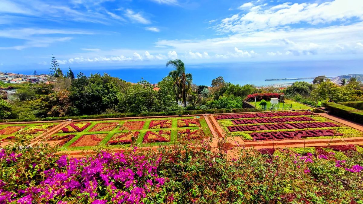 Panoramic view over Funchal bay from the Madeira Botanical Garden terraces