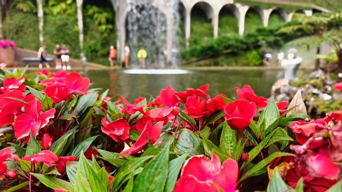 Large lake, waterfall, terraces and palace building at Monte Palace Tropical Garden