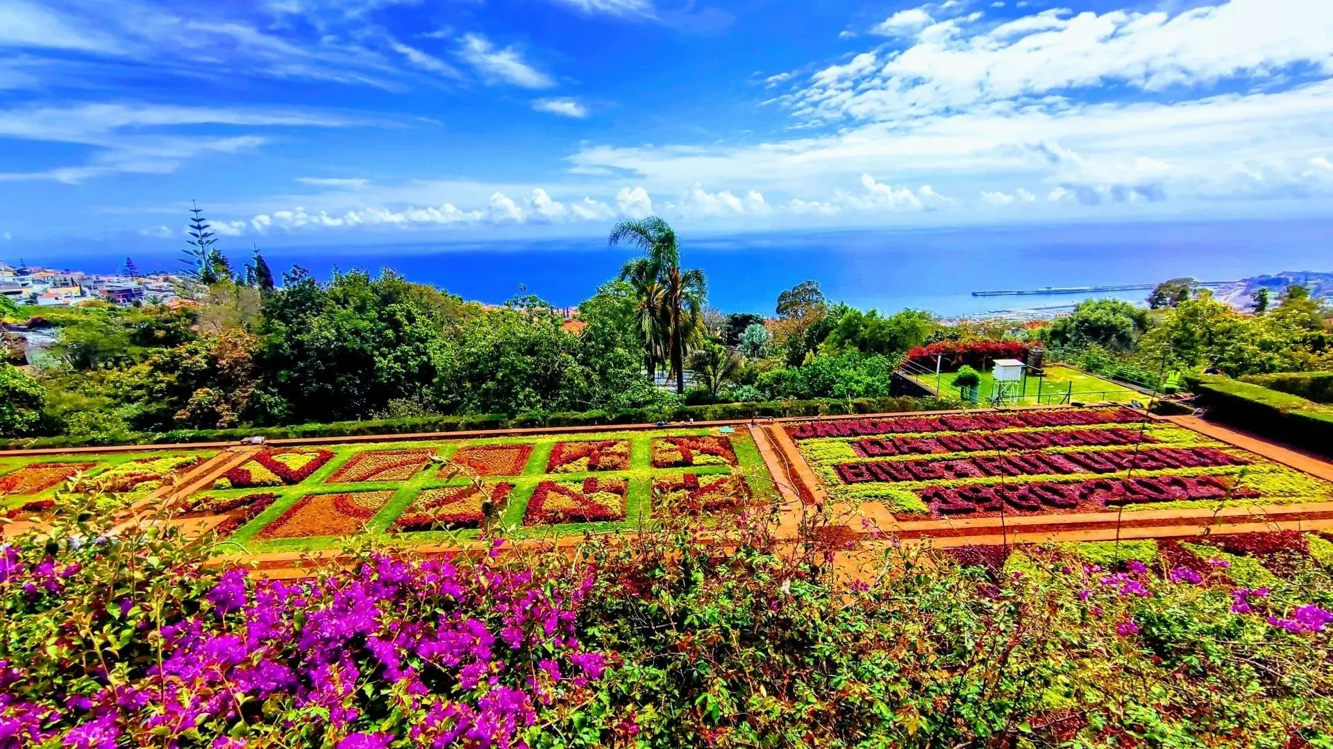 Madeira Botanical Garden tuk tuk tour Funchal