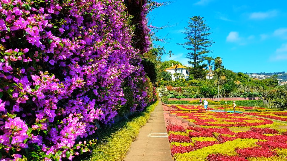 Tuk tuk tour through Funchal hills to Botanical Garden